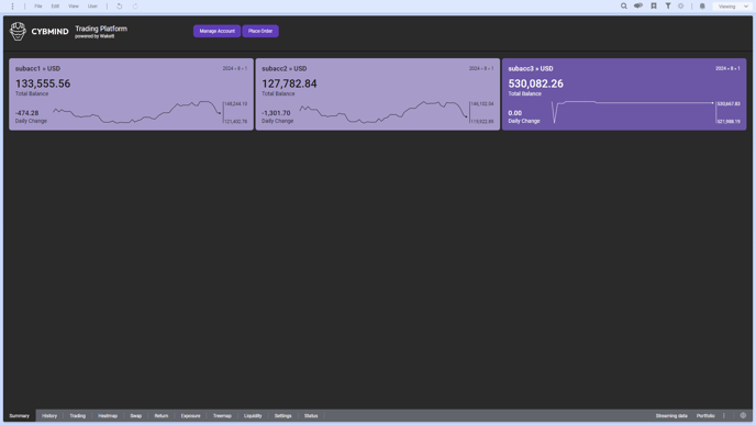 Overview_CYBMINDFX_Summary